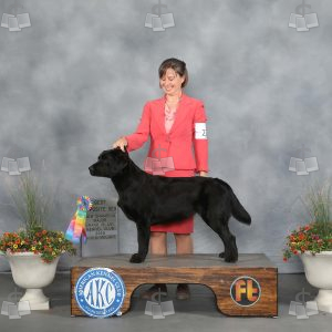 YQ0610