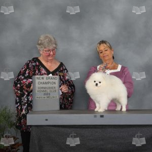 YR0612A