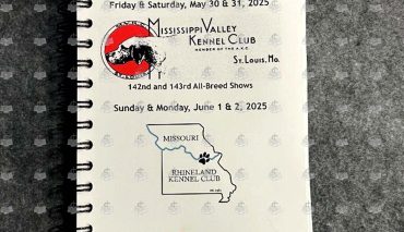 Start June in St. Louis May 30, 31 & June 01, 02, 2025