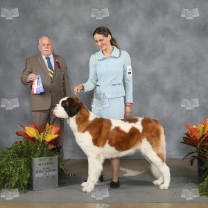 YV2008