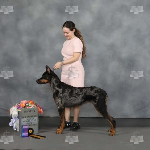 YX0112C