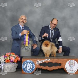 YX0205