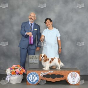 YX0508