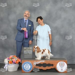 YX0508A
