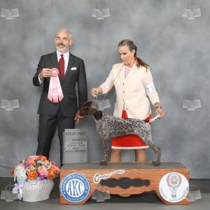 YX0809