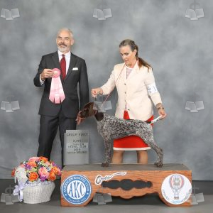 YX0809A