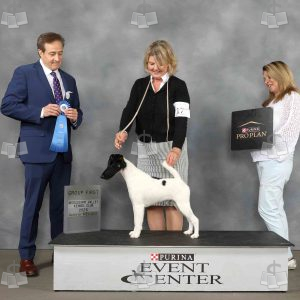ZV4001
