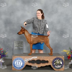 ZY1406