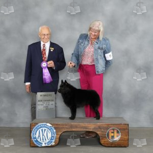 AA0203