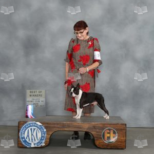 AA0206