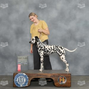 AA0207