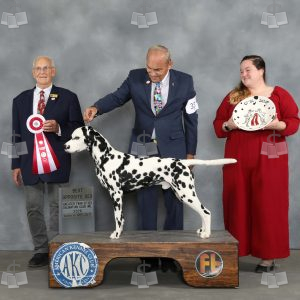 AA0212