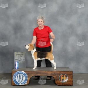 AA0502