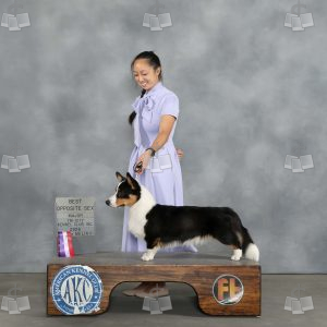 AA0511
