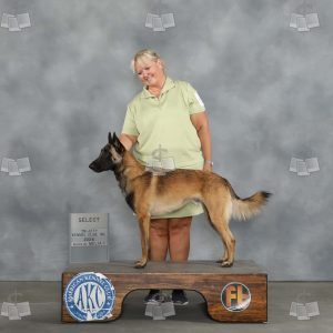 AA0512