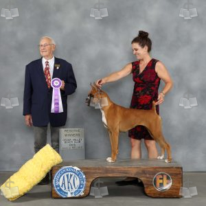 AA0707