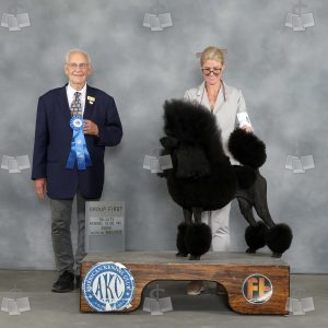 AA2009