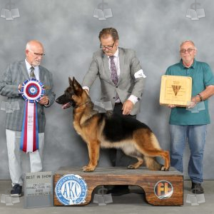 AA2010