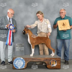 AA2011