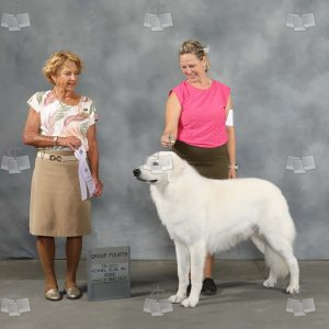 AA2012