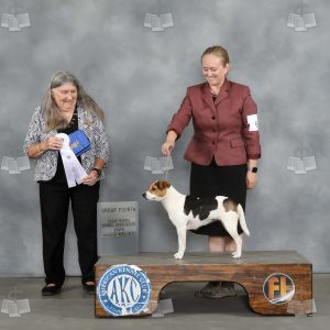 AA2808