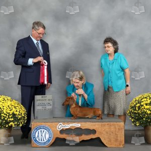 AB0809