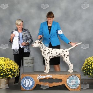 AB1405