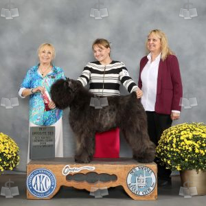 AB1903