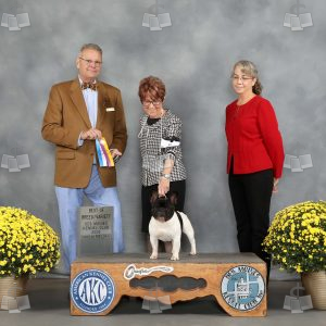 AB2004