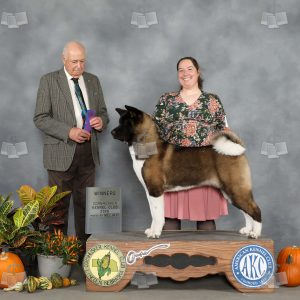 AC2012