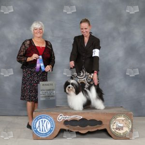 AD0204