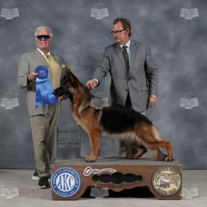 AD0404