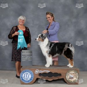 AD0411