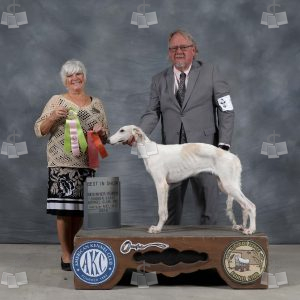 AD0601