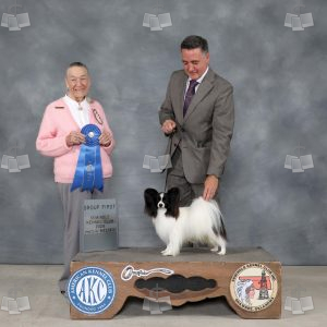 AD2004