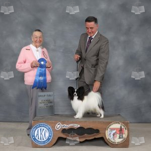 AD2004A