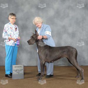 AE0803