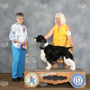 AE1005
